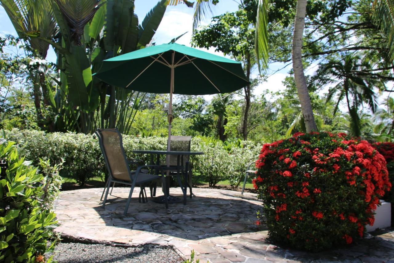 Tropical Bliss Pool Wi-Fi Bbq Near Quepos Manuel Antonio Apartment Bagian luar foto