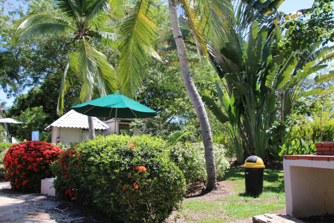 Tropical Bliss Pool Wi-Fi Bbq Near Quepos Manuel Antonio Apartment Bagian luar foto