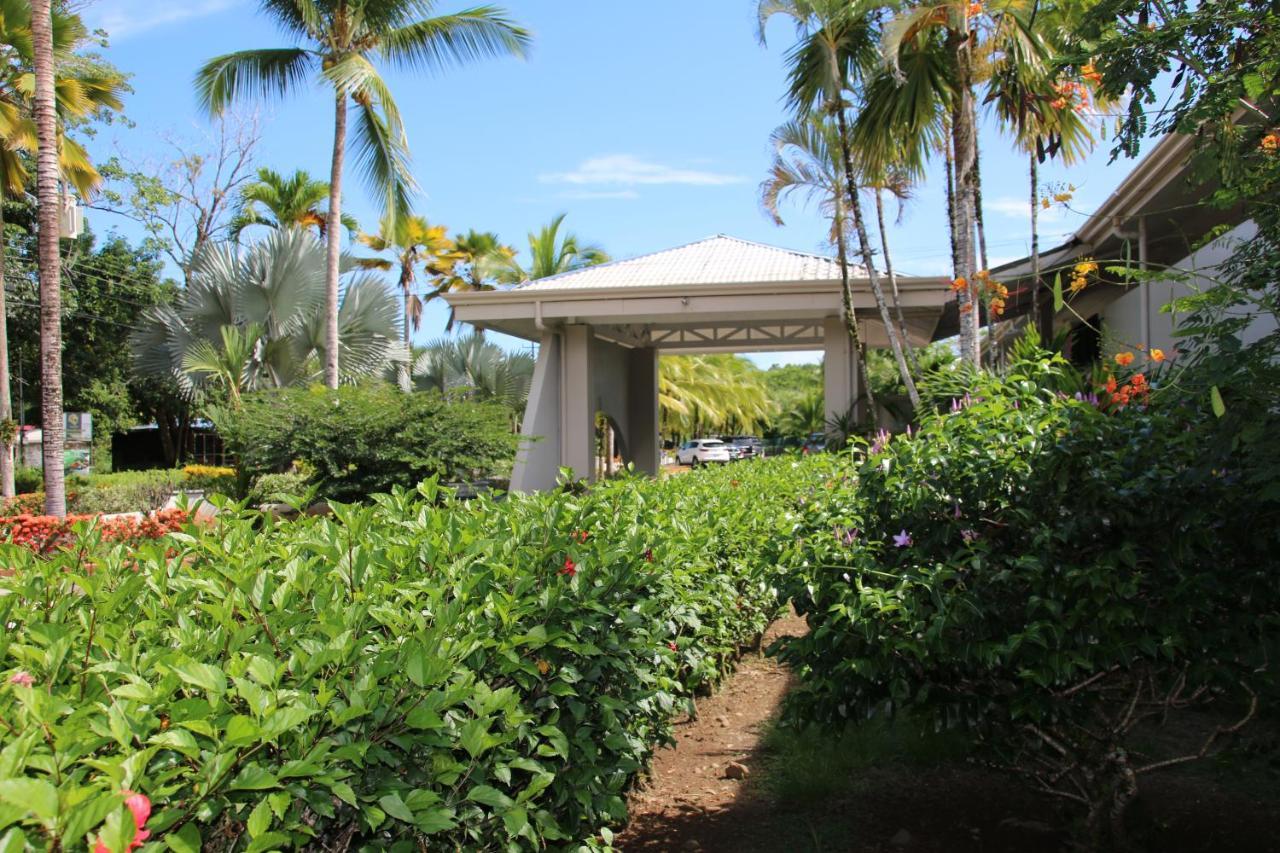 Tropical Bliss Pool Wi-Fi Bbq Near Quepos Manuel Antonio Apartment Bagian luar foto