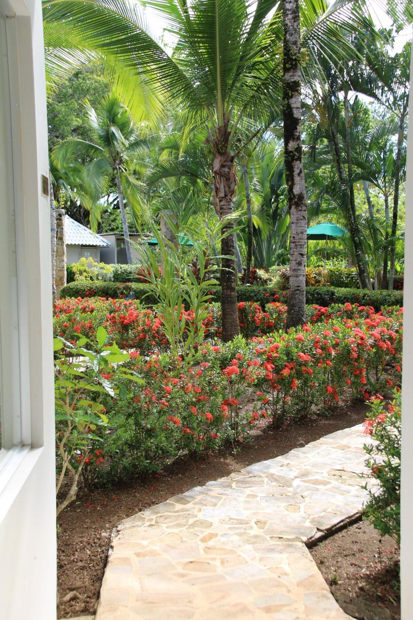 Tropical Bliss Pool Wi-Fi Bbq Near Quepos Manuel Antonio Apartment Bagian luar foto